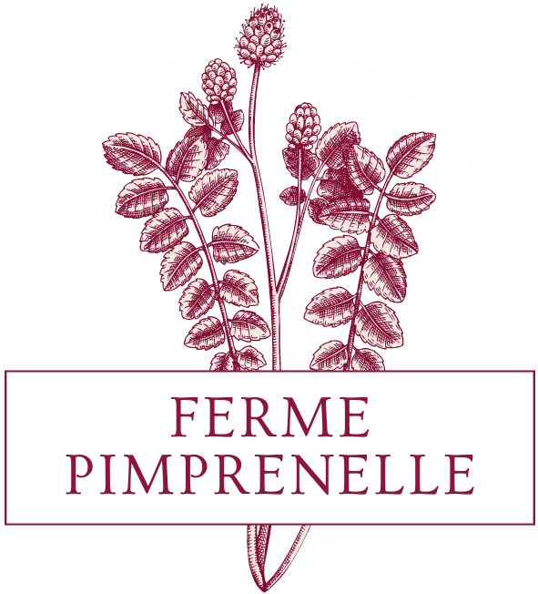 Logo Ferme Pimprenelle